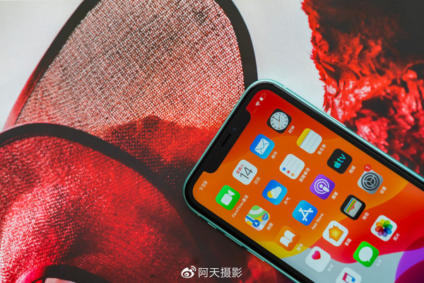 iPhone 11（图片来自@阿天拍摄）